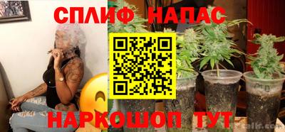 стафф Новокубанск