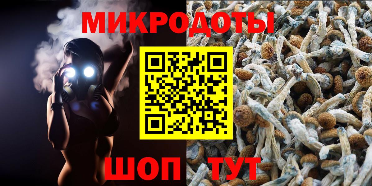 Галлюциногенные грибы Magic Shrooms  Вход с VPN  Чайковский 