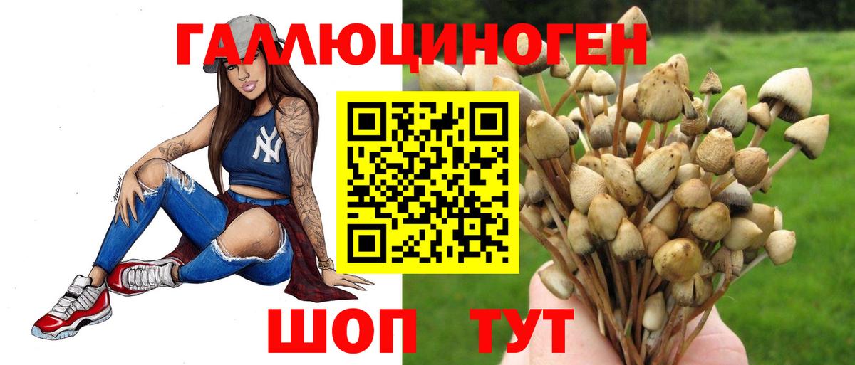 Галлюциногенные грибы Magic Shrooms Чайковский